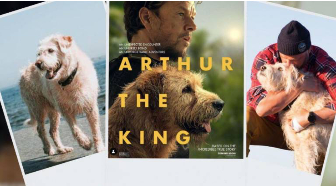 'Arthur, el rey' película inspirada en perro ecuatoriano llegará a los