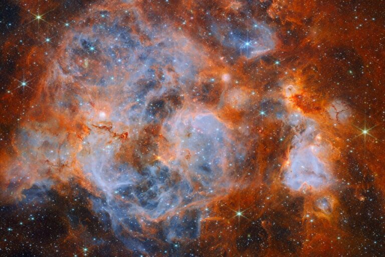 Stars brewing in a nebulous cauldron
